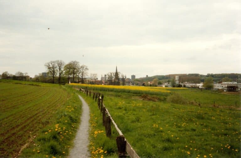 Das Zentrum von GMHütte 1992 von Osten gesehen. Man sieht gelbe Blumen, eine Wiese, ein Rapsfeld und im Hintergrund die Silhoutte des Zentrums